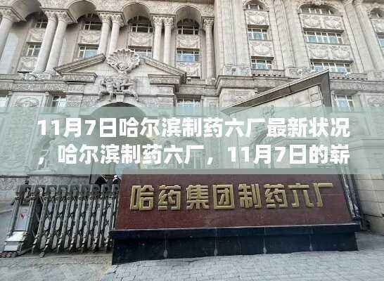 哈尔滨制药六厂,11月7日最新进展揭秘