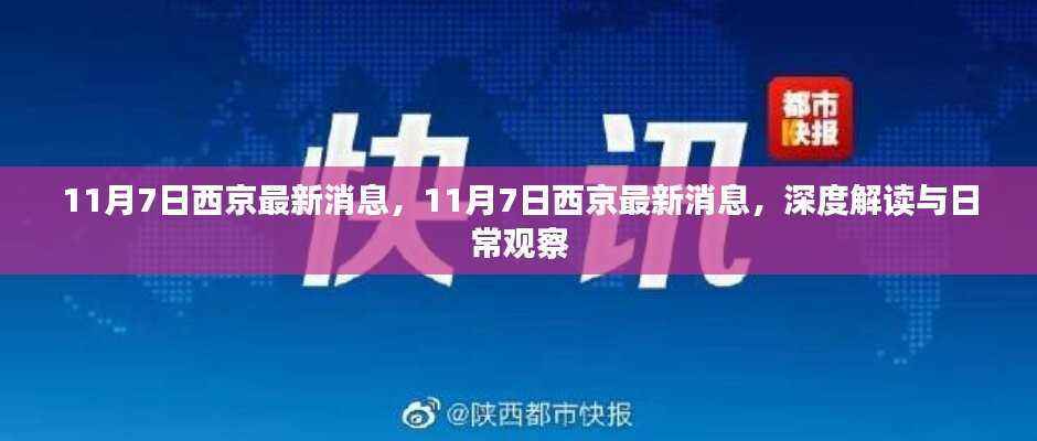 11月7日西京深度解读与日常观察,最新消息汇总