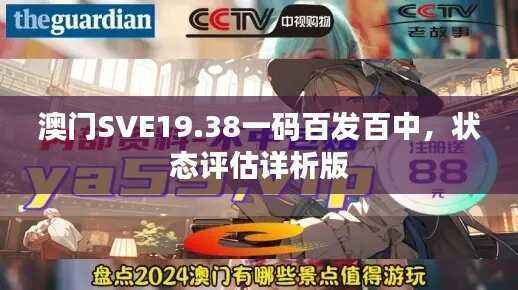 澳门SVE19.38一码百发百中，状态评估详析版