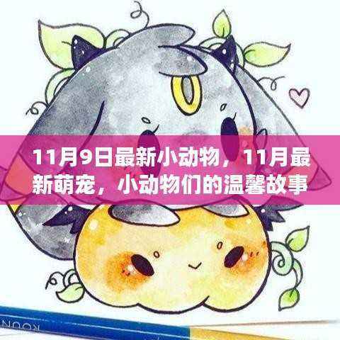 11月最新萌宠集结,小动物们的温馨故事