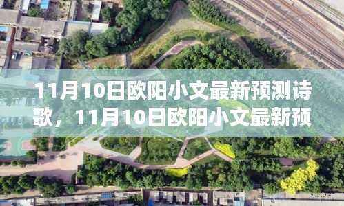 欧阳小文最新诗歌预测,解读观点与影响