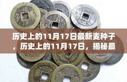 揭秘,最新麦种子神奇之旅的历史篇章(11月17日回顾)