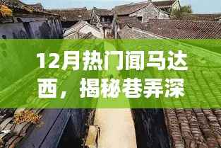 初告白 第12页