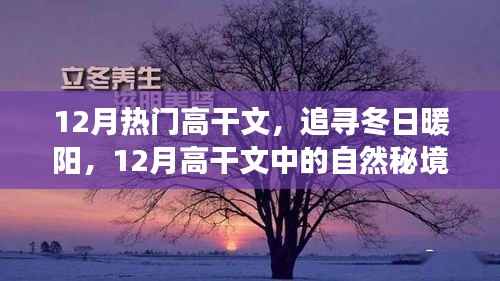 12月高干文中的自然秘境之旅,追寻冬日暖阳的魅力篇章