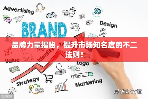 品牌力量揭秘,提升市场知名度的不二法则!
