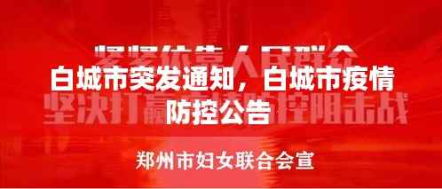 白城市突发通知,白城市疫情防控公告