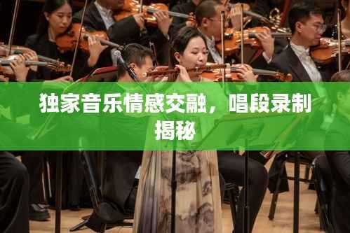 独家音乐情感交融,唱段录制揭秘