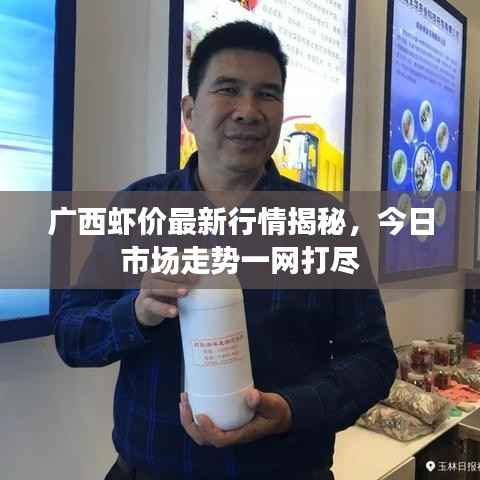 广西虾价最新行情揭秘,今日市场走势一网打尽