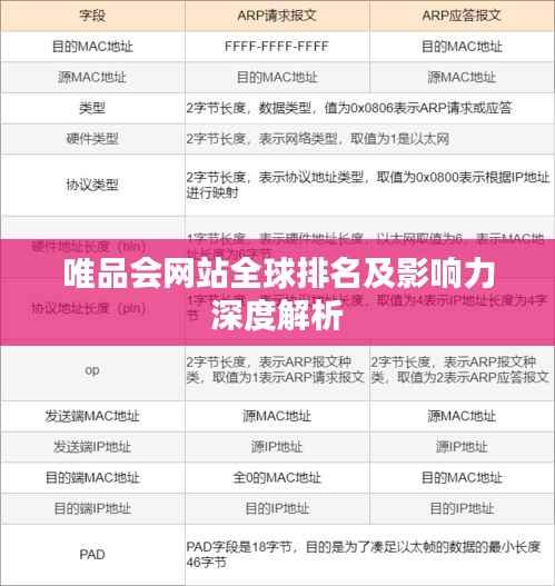 唯品会网站全球排名及影响力深度解析
