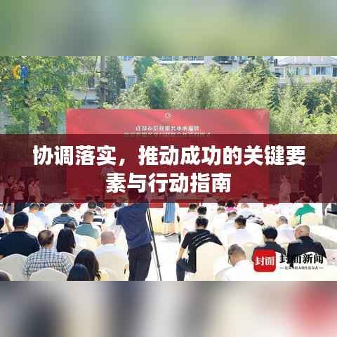 协调落实，推动成功的关键要素与行动指南