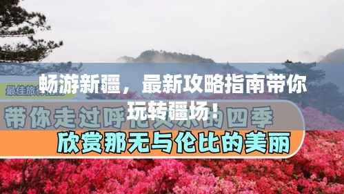 畅游新疆,最新攻略指南带你玩转疆场!