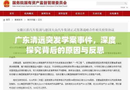 广东清远突发学案事件,深度探究背后的原因与反思