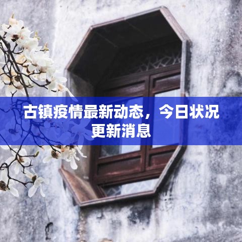 古镇疫情最新动态,今日状况更新消息