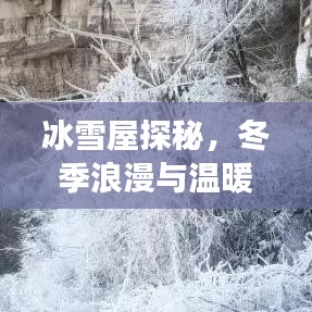 冰雪屋探秘,冬季浪漫与温暖的旅游攻略指南